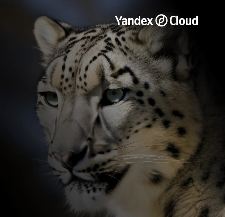 Спасая снежных барсов: как ИИ работает на благо экологии, Yandex Cloud (Казахстан)